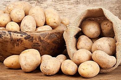 虚幻引擎4打造 《恐龙危机》玩家自制版发布试玩